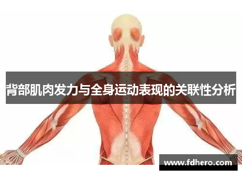 背部肌肉发力与全身运动表现的关联性分析